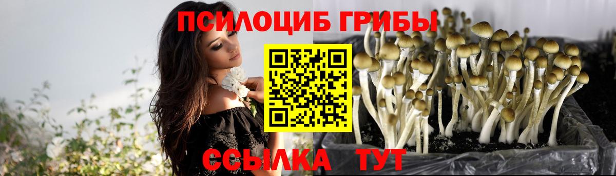 Псилоцибиновые грибы Magic Shrooms  Вход с VPN  Коммунар  Псилоцибиновые грибы GOLDEN TEACHER 